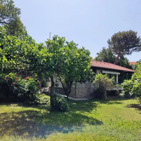 & Oliva - Two Bedroom